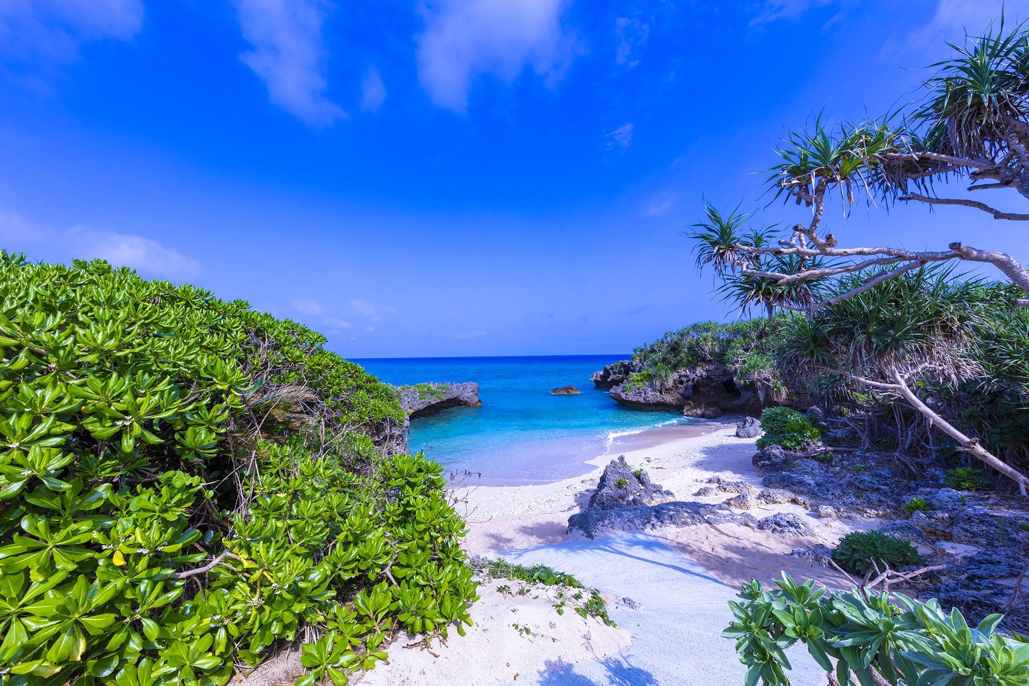 アルバイト・パート ホテル・旅館スタッフ 事務・オフィスワーク 配送・ドライバー ホテル・宿泊業の求人情報イメージ1